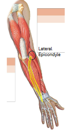 <p>What is this?</p>