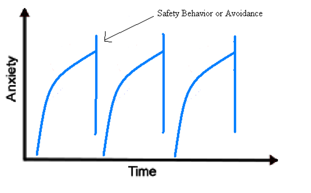 <p>don’t allow you to fully experience the anxiety you should be feeling</p><p>coping mechanisms people use to reduce anxiety&nbsp;</p><ul><li><p>Avoidance ex. eye contact, parties, places associated with panic</p></li><li><p>Impression management ex. rehearsing sentences or monitoring ones’s behavior</p></li><li><p>Checking ex. locks, symptoms</p></li><li><p>Neutralizing rituals ex. rituals to feel safe (pacing, squeezing hands, checking)</p></li></ul><p></p>