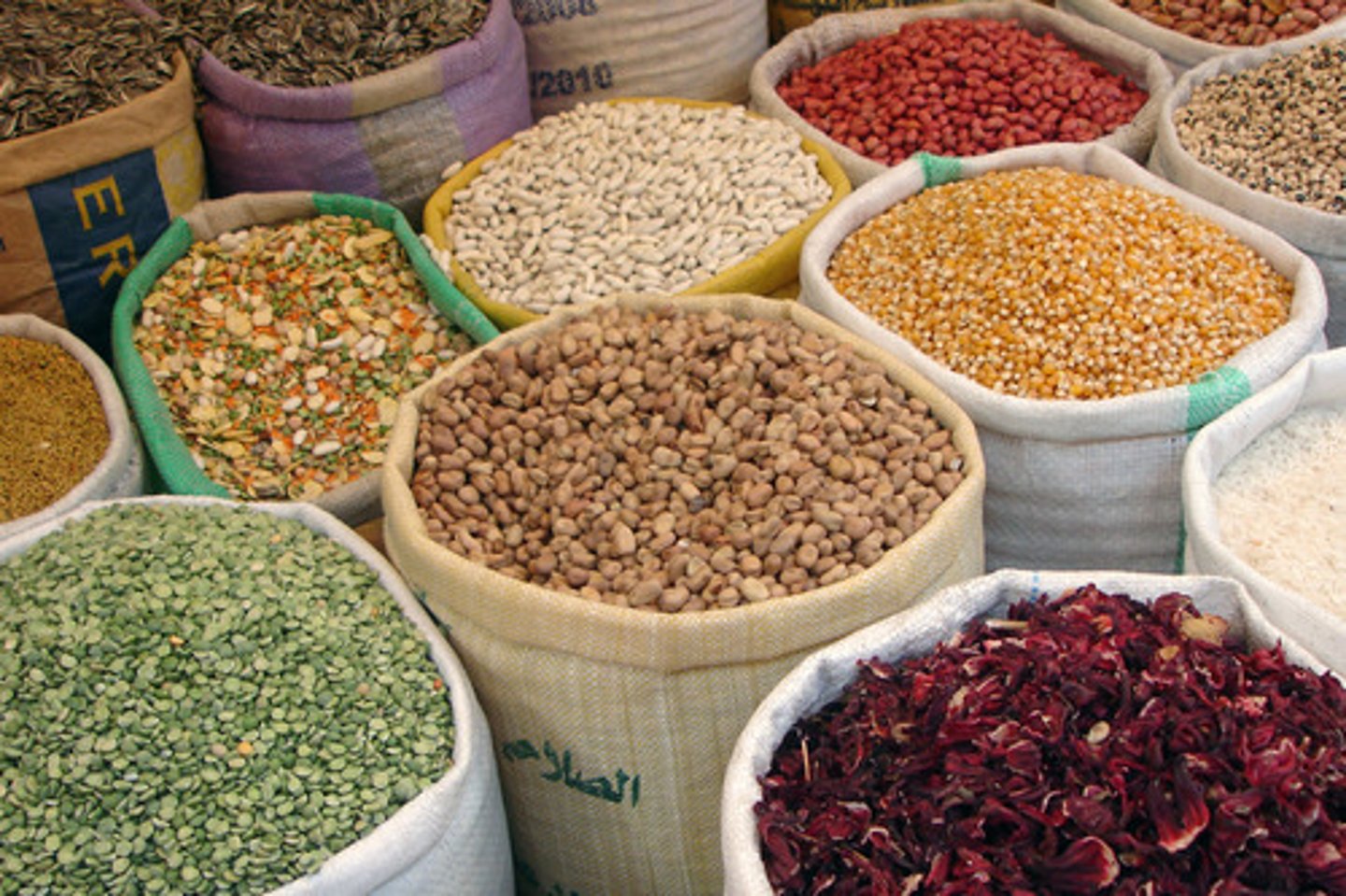 <p>the legumes, pulses: (lentils, beans, and chickpeas)</p>