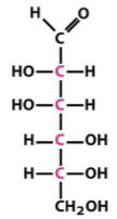 <p>6-carbon aldehyde</p><p>Left-left-right-right</p>