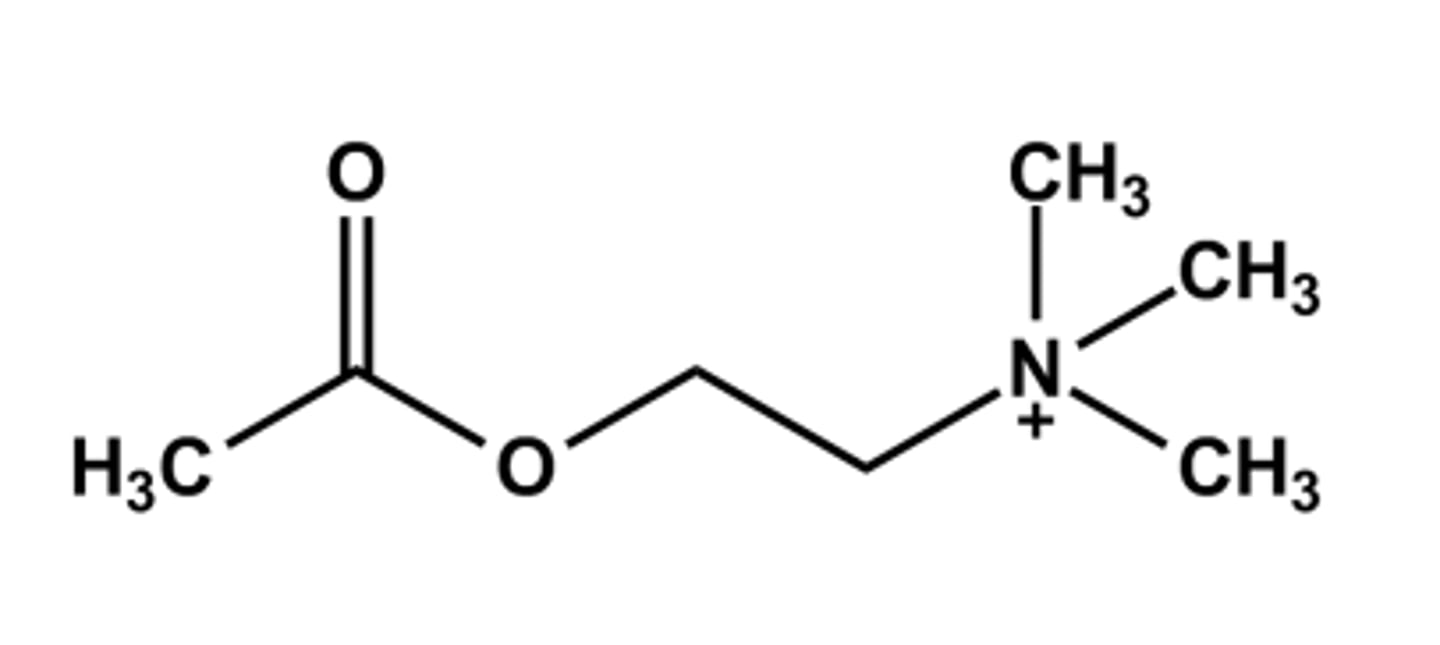 <p>-Neurotransmitter</p><p>- Poor drug for general cholinergic agonist use due to</p><p>➢ High polarity</p><p>➢ Rapid hydrolysis by AChE</p><p>- Only use: Intraocular miotic agent in cataract surgery</p><p>➢ Also decrease the intraocular pressure.</p><p>- Mixed muscarinic/nicotinic action</p><p>- LogP = ca. -4.1</p>