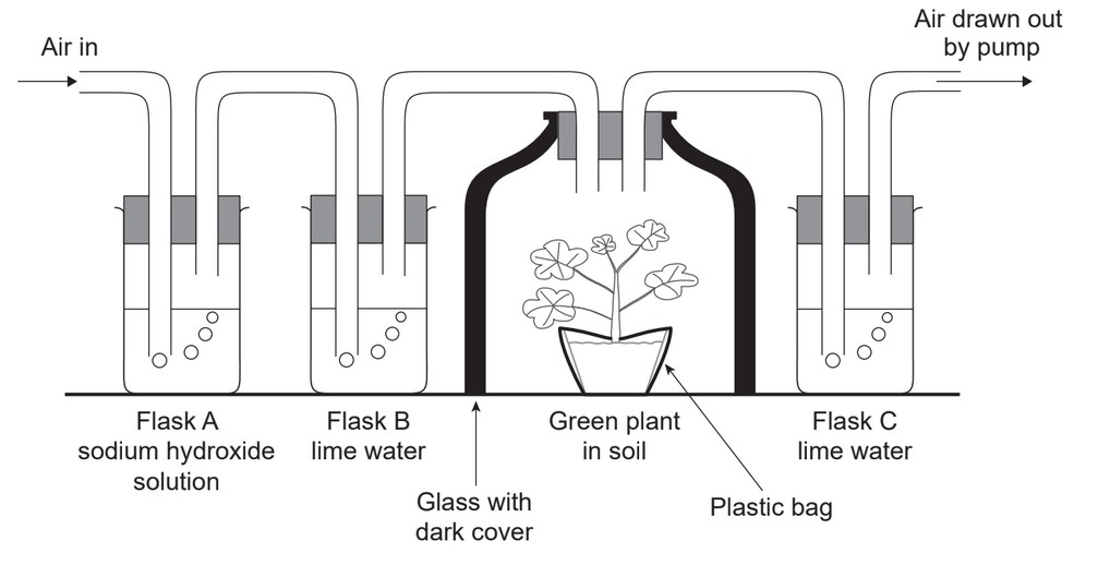 <p>What is the reason the pot was covered with a plastic bag?</p>