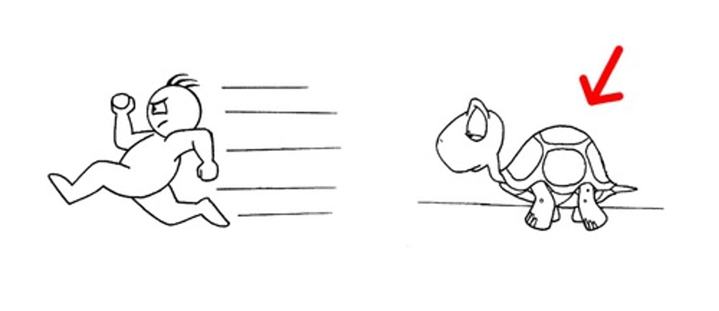 <p>to be slow</p>