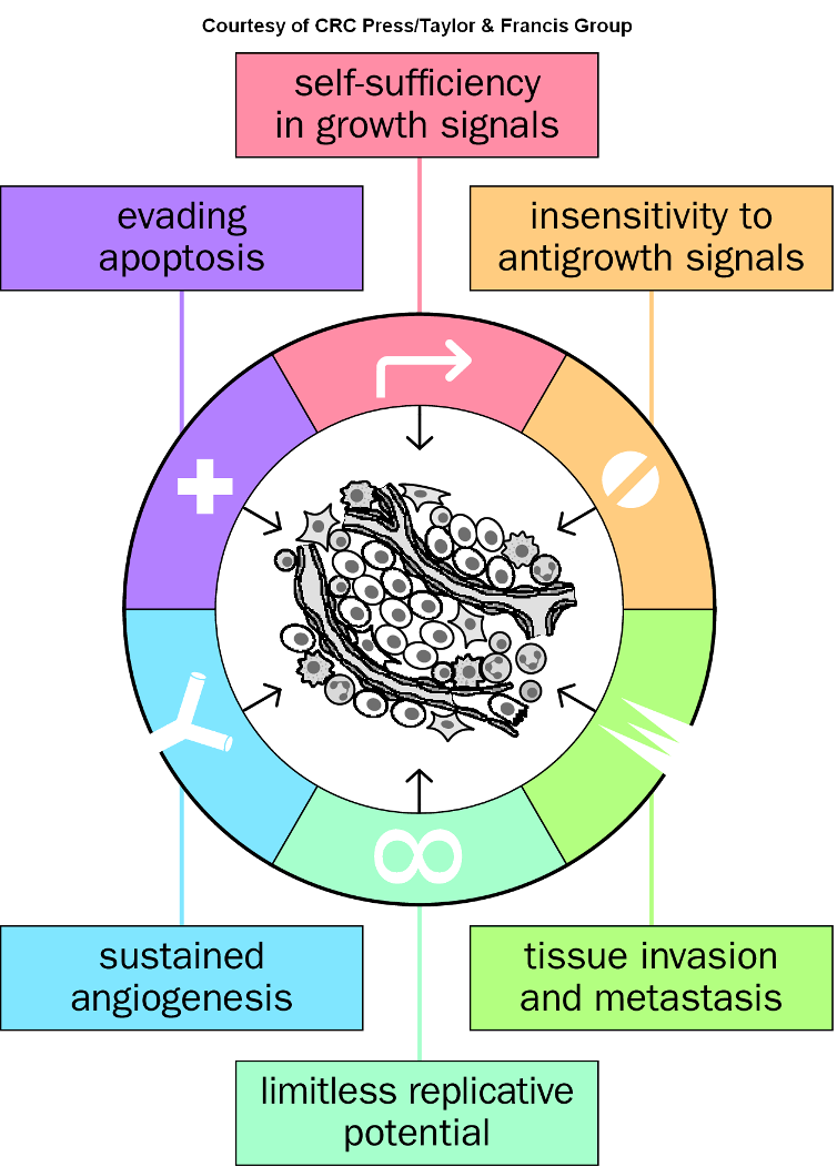 <p>are specific mutations or alterations in DNA that contribute to the development of cancer.</p><ul><li><p><span>&gt;1% of all human genes are implicated via mutation in cancer.</span></p></li><li><p><span><strong><u>Tp53 </u></strong>mutated in <strong><u>50%</u></strong> of all cancers</span></p></li></ul><img src="https://knowt-user-attachments.s3.amazonaws.com/0f0c5508-9c55-4948-bfe0-ac1b7e466328.png" data-width="100%" data-align="center"><p></p>
