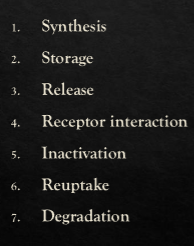 <p>Define and name 3 of 7 major processes in neurotransmission that drugs can alter.</p>