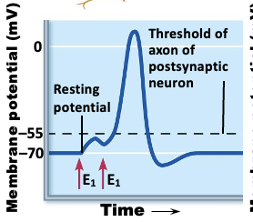 <p>what is this an image of?</p>