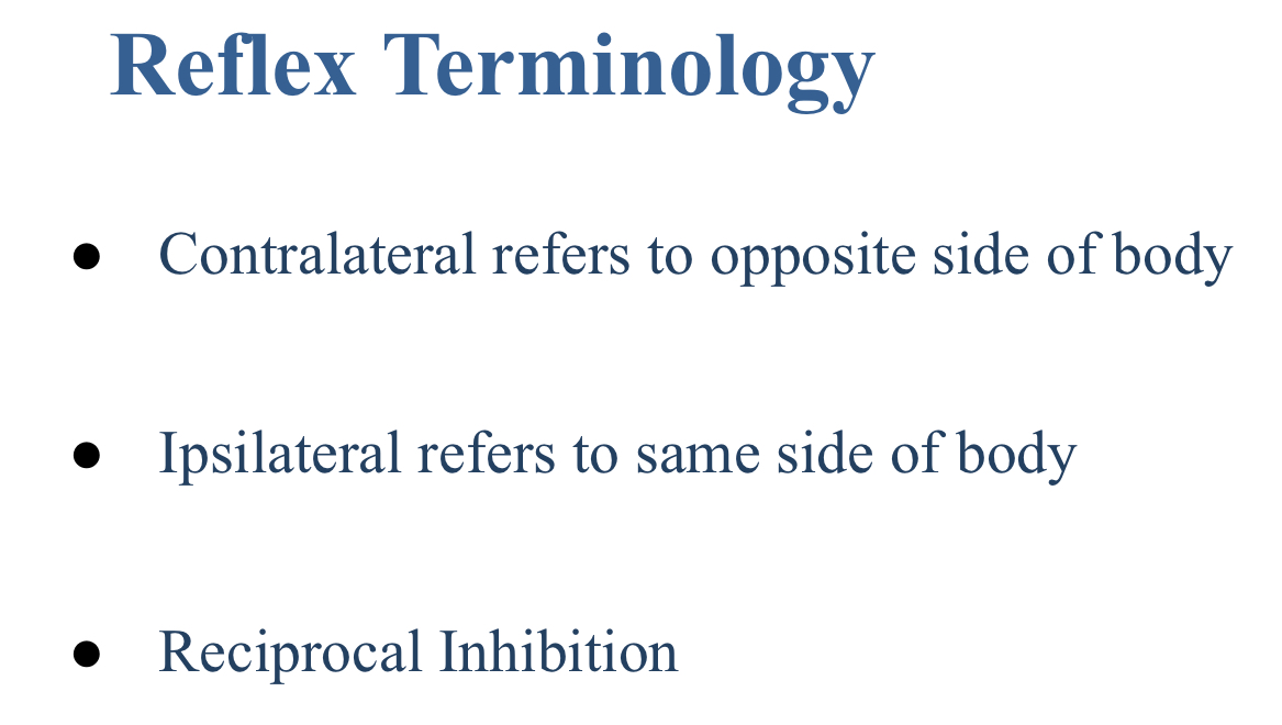 <p>Ipsilateral</p>