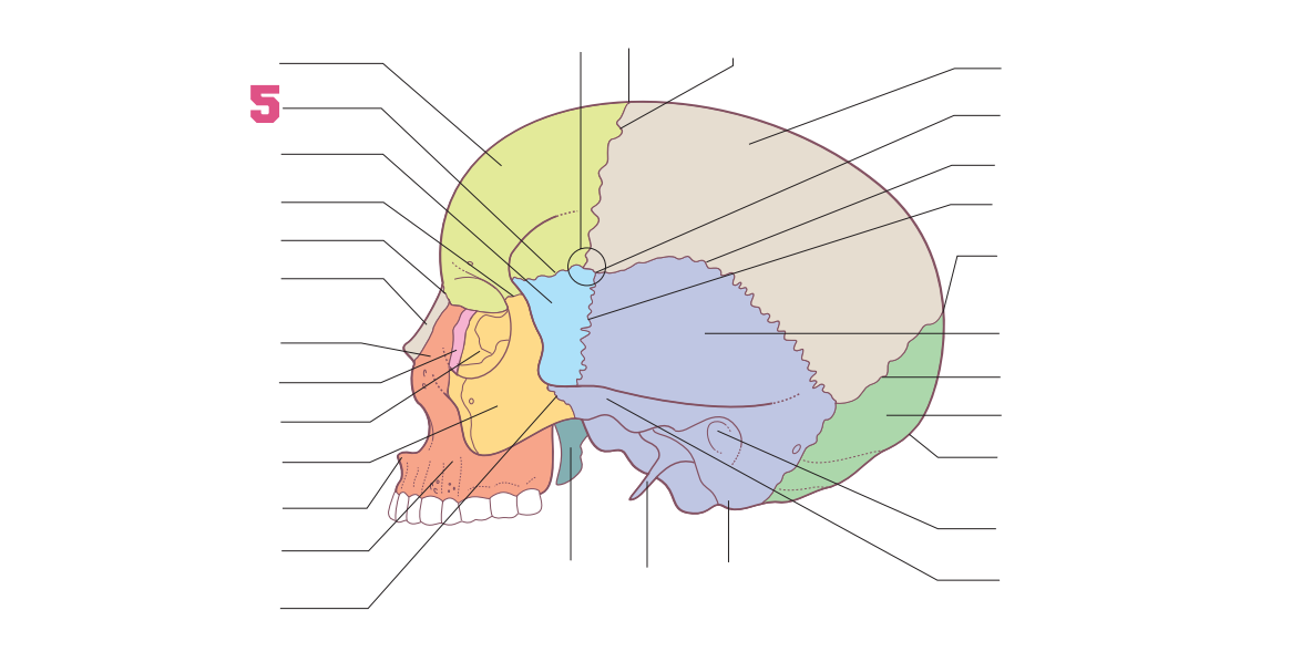 <p>05</p>