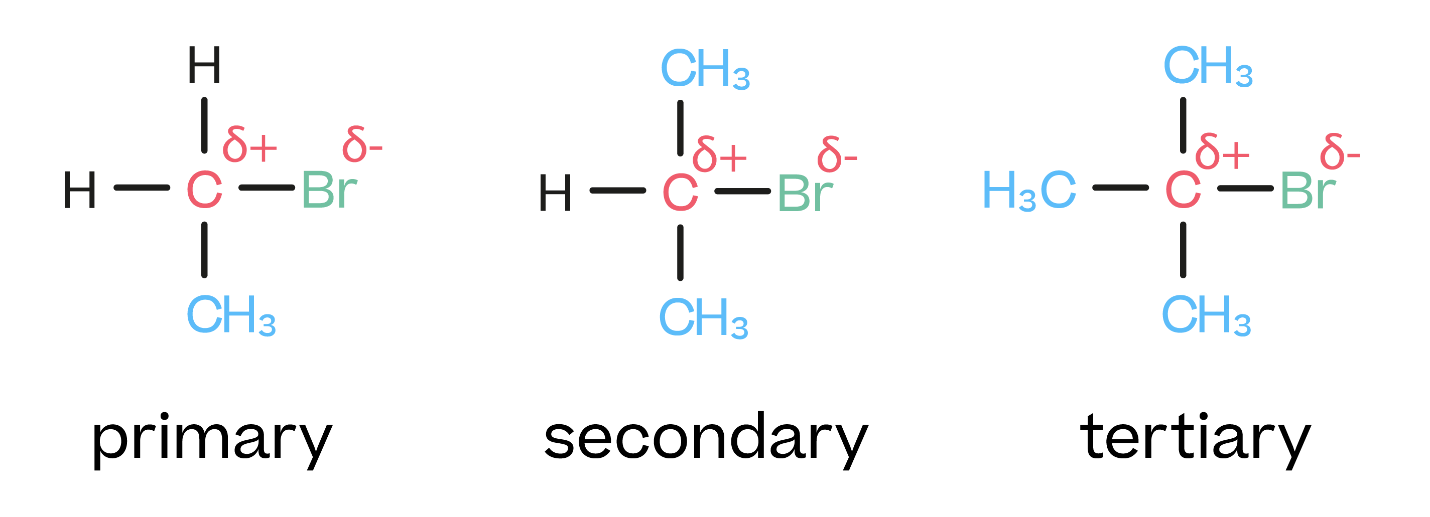 <p>a haloalkane w/ 1 C atom bonded directly to the C atom which is bonded to the halogen</p>
