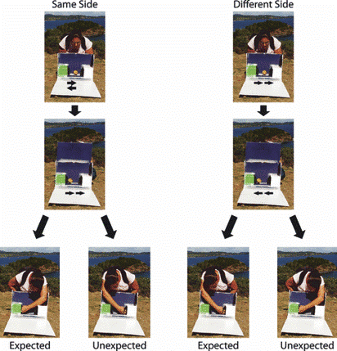 <p>violation of expectation task - lemon automatically moves from one box to other. </p><p>- unexpected - reaches to box where lemon is not (true belief task - experimenter sees lemon being moved) </p>