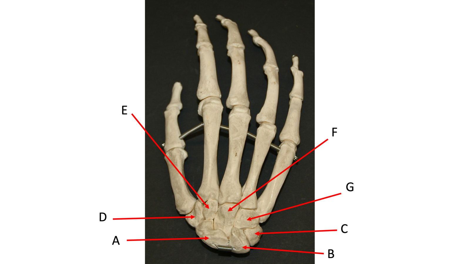 <p>c</p>