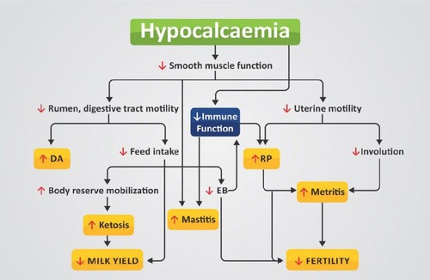 <p>Impaired muscle function, retained placenta, dystocia, and increased risk of metritis and mastitis.</p>