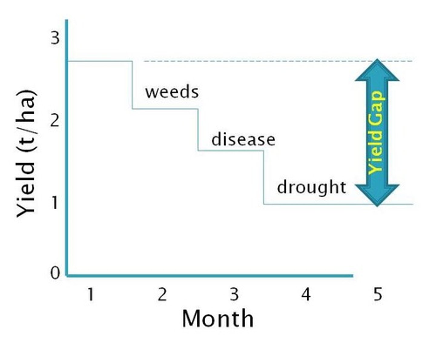 <p>The difference between actual yields and the potential yields that could be achieved with optimal conditions.</p>