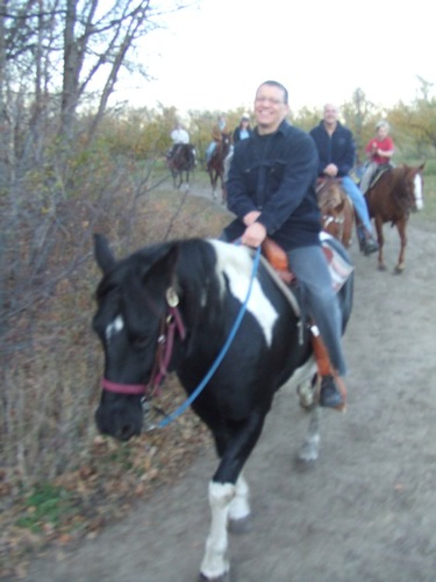 <p>to go horseriding</p>