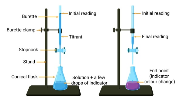 <ol><li><p>Rinse the burette thoroughly with distilled water</p></li><li><p>pour about 10mL of titrant and roll it around the burette to clean it open stopcock and rinse when done</p></li><li><p>fill burette with the titrant slightly past the 0.0mL mark and drain it to exactly 0.0mL and record the initial reading</p></li><li><p>prepare the solution to titrate in an Erlynmeyer flask with 2-3 drops of indicator and swirl the solution</p></li><li><p>begin titrating by slowly opening and closing the stopcock and swirling the solution until the solution becomes a light pink</p></li><li><p>Record he final reading and subtract from the initial</p></li></ol>
