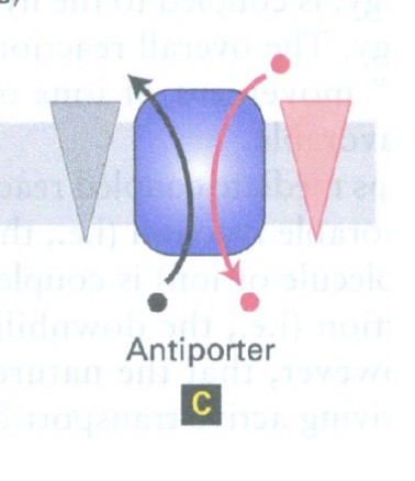 <p>Catalyze movement of one molecule against a gradient, driven by a second molecule going WITH its gradient – molecules move in opposite directions </p>