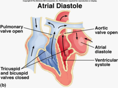<p>Pressure exerted against the walls of the artery when the ventricle is at rest.Blood</p>