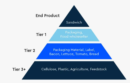 <p>Tier 1 suppliers - Companies that provide materials to to a manufacturer</p><p>Tier 2 suppliers - Companies that provide products to Tier 1 suppliers</p><p>Tier 3 suppliers - Companies that provide products to Tier 2 suppliers</p>