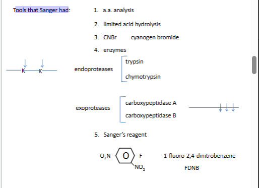 <p>trypsin  down K and down R</p><p>chumotryspin aromatic a.a down</p>
