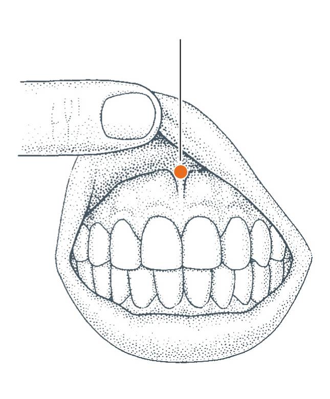 <p>DU-28</p>