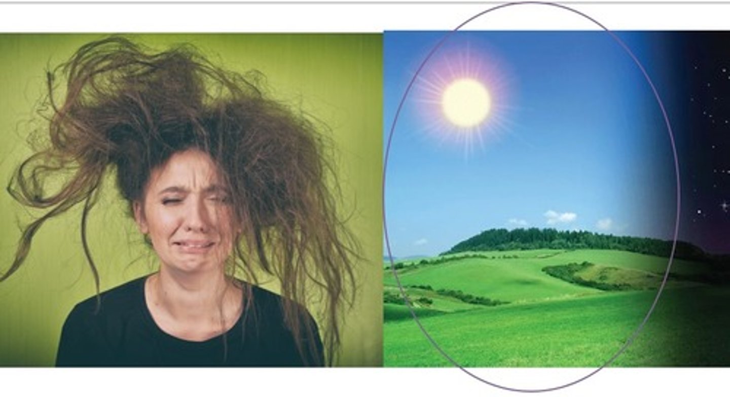 <p>a day when you feel that you do not look attractive, especially because of your hair => everything seems to go wrong</p>