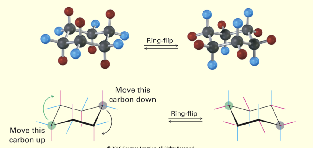 <p>Interconversion of chair conformations, resulting in the exchange of axial and equatorial positions</p>