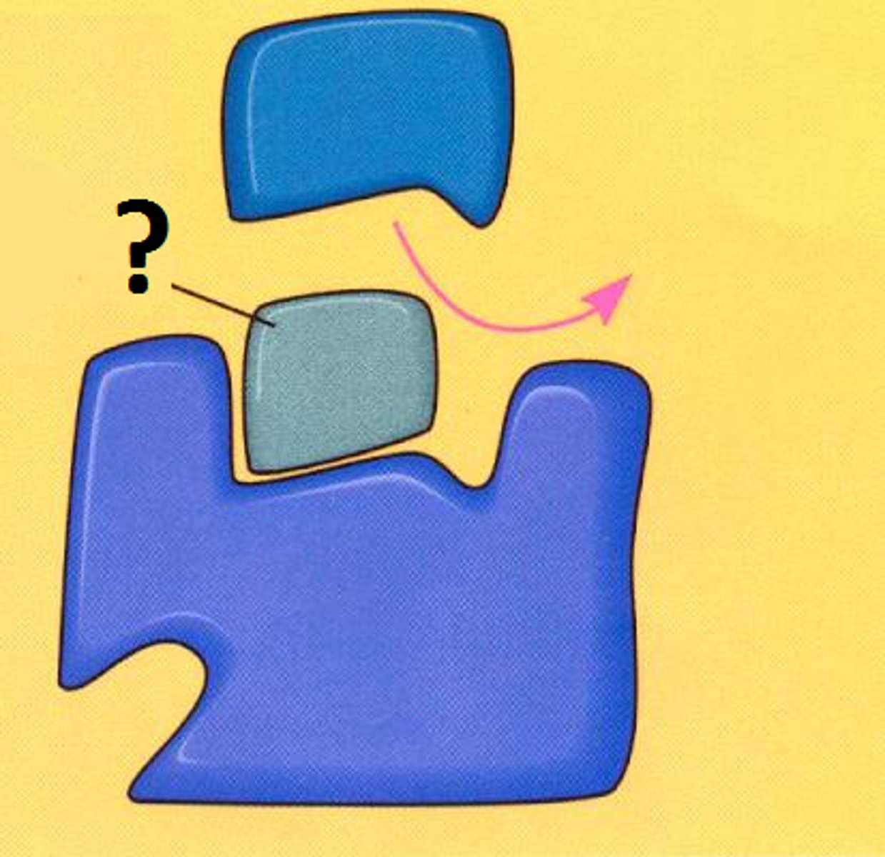 <p>Chemicals hindering enzyme activity</p>