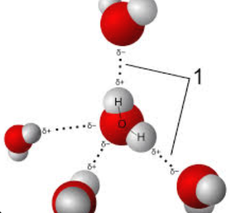 <p>The attractive forces between a hydrogen atom covalently (share electrons) bonded to a very electronegative atom such as a N, O, or F atom, and another very electronegative atom.</p>