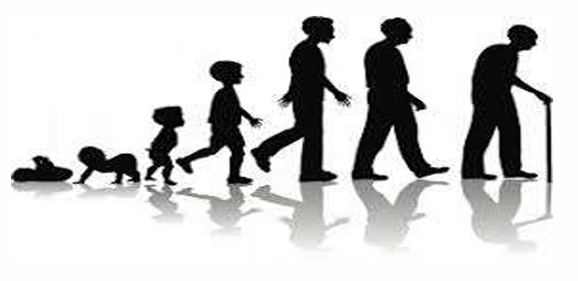 <p>What is this in the Characteristics of Life?</p>