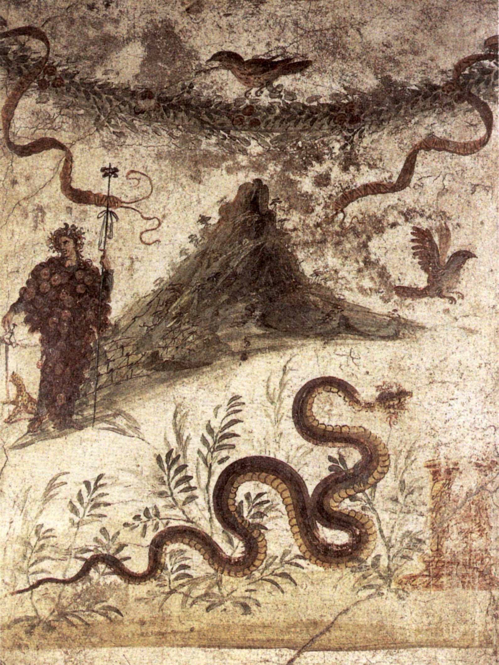 term image