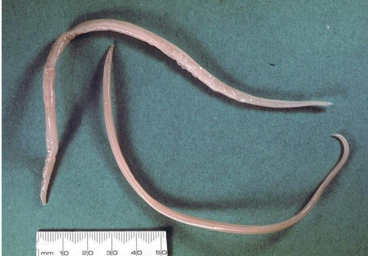 <p>?</p>