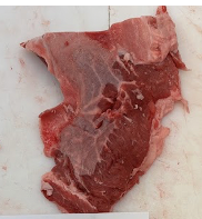 <p><span>Subscapularis</span></p>