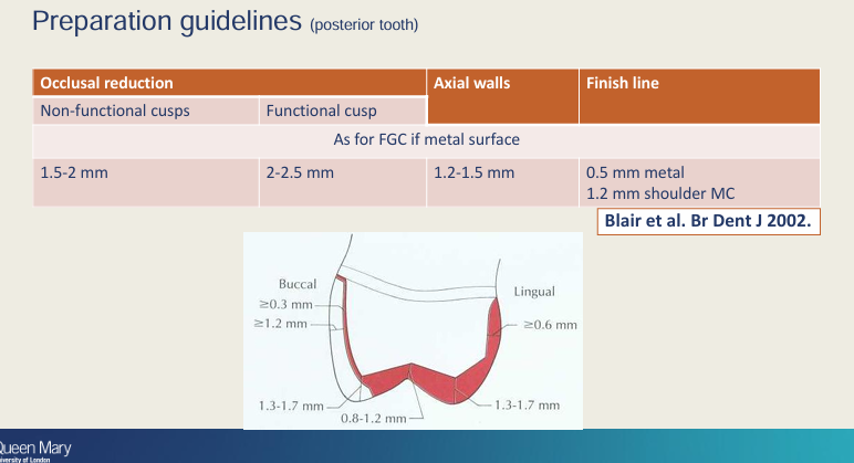 <ul><li><p>more tooth removed to create more space</p></li></ul><p></p>