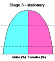 <p>Wide bottom, rounded&nbsp;</p>