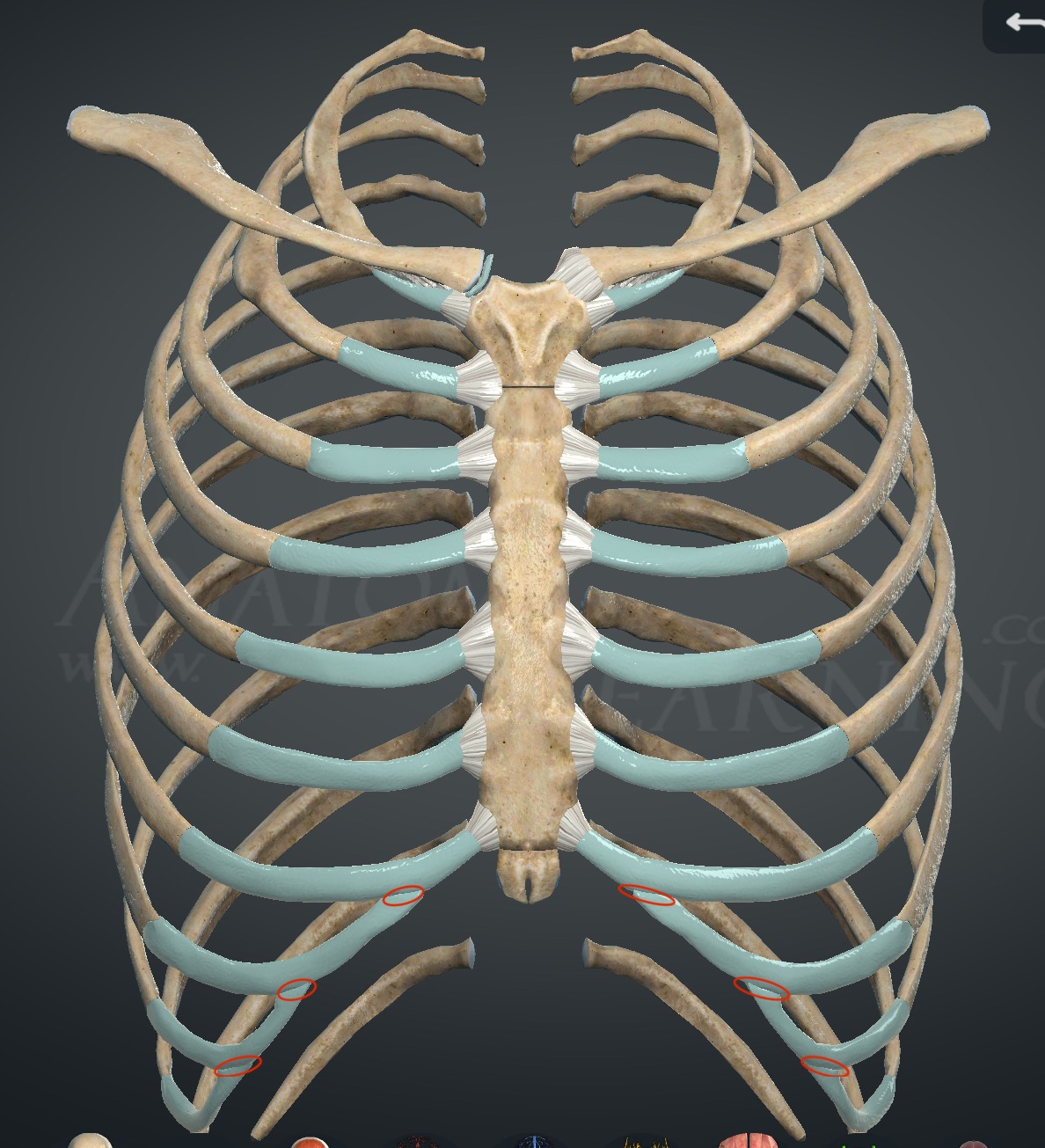 <p>What joints are these?</p>