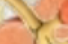 <p>what is this?</p>