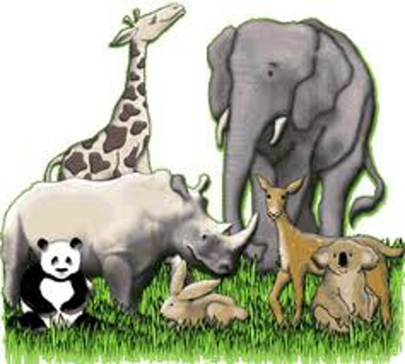 <p>animal</p>
