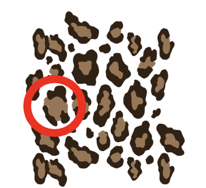 <p></p>