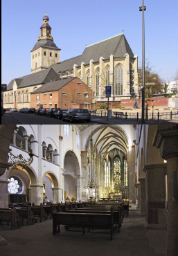 term image