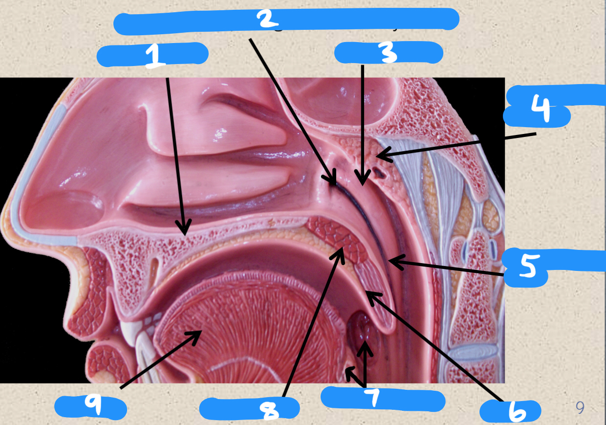 <p>1-4</p>
