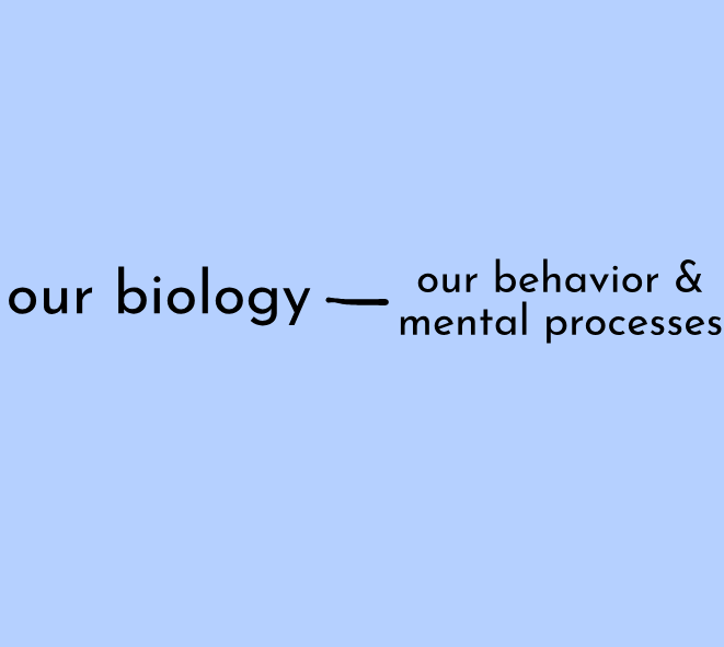 <p>psychologists from the biological perspective study the links between our biology and our behavior &amp; mental processes.</p>
