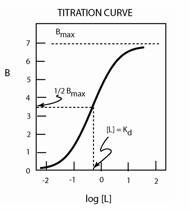 <ul><li><p>Plots amount of bound ligand against&nbsp;<span style="background-color: transparent; font-size: 1.6rem;"><span>the logarithm of the free ligand&nbsp;</span></span>concentration.</p></li><li><p><span style="background-color: transparent; font-size: 1.6rem;"><span>Used to identify the concentration of&nbsp;</span></span>ligand at which ½ of receptors are&nbsp;<span style="background-color: transparent; font-size: 1.6rem;"><span>occupied, shows how affinity is&nbsp;determined above and below Kd</span></span></p></li></ul><p></p>