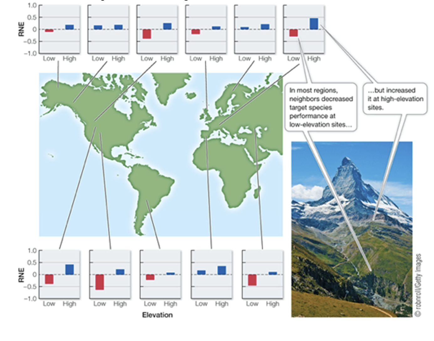<p>What type of positive interaction phenomenon is the following figure an example of? In what kind of environment is the phenomenon strongest?</p>