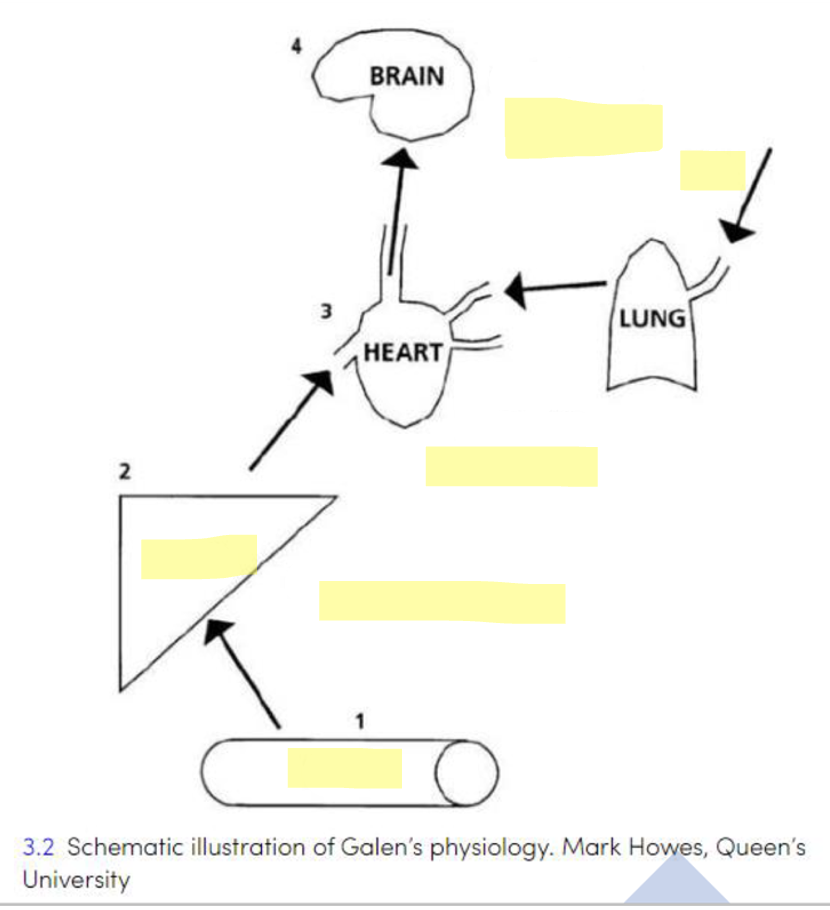 <p><sup>not primary source but likely to come up</sup></p><p>Fill in the blank </p>