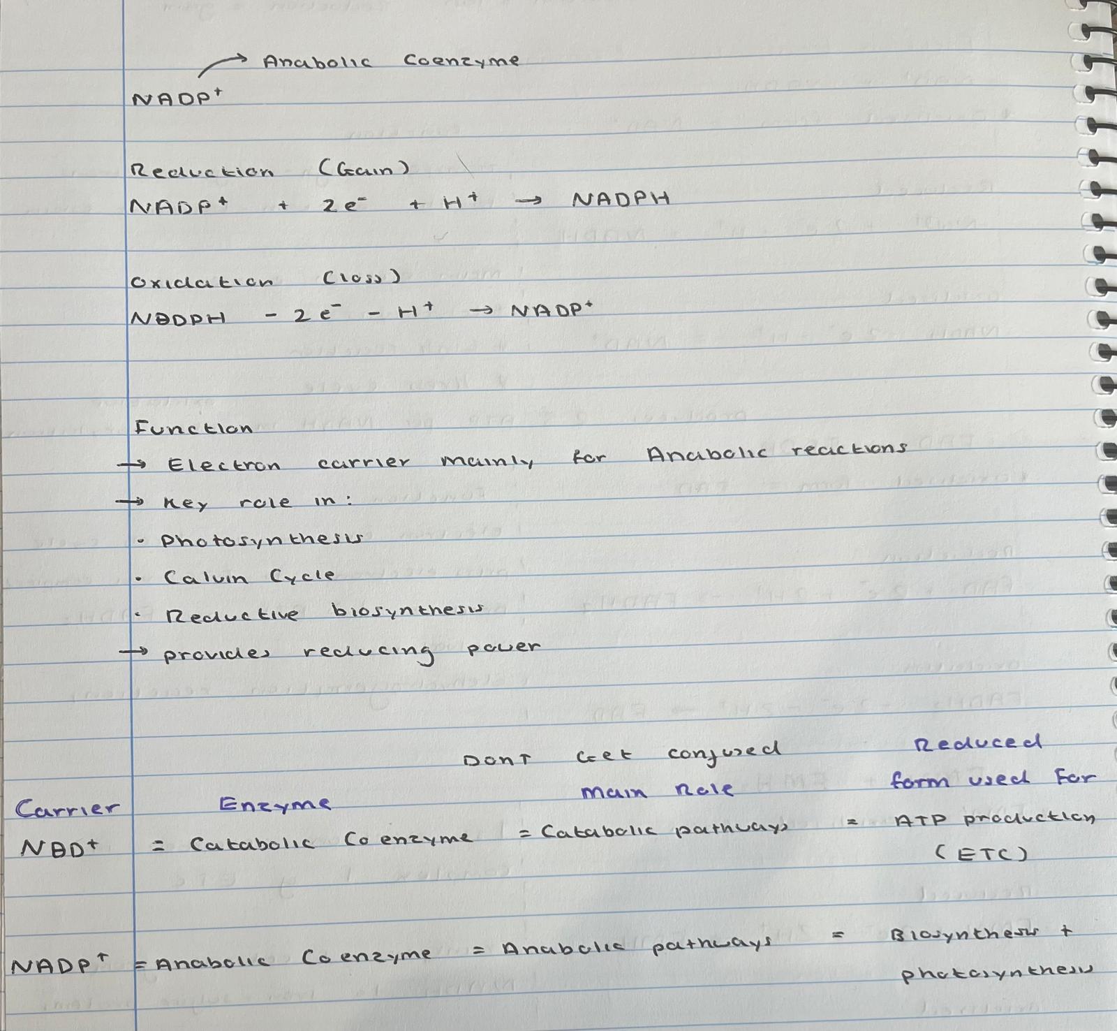 <p>electron transport summary - read </p>