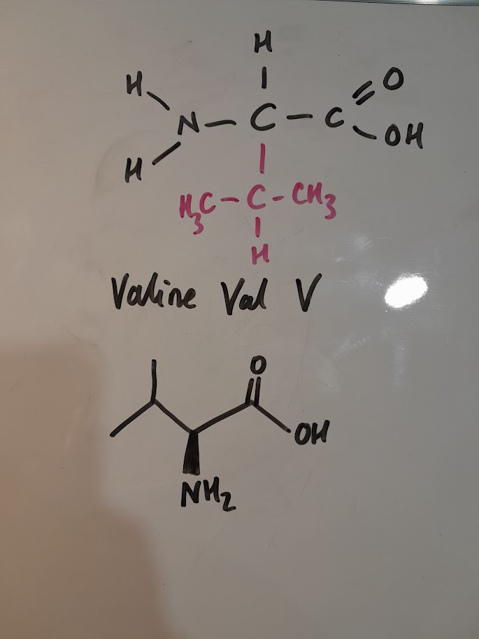 <ul><li><p>Val&nbsp;</p></li><li><p>V</p></li><li><p>hydrophobic nonpolar</p></li><li><p>aliphatic</p></li></ul><p></p>