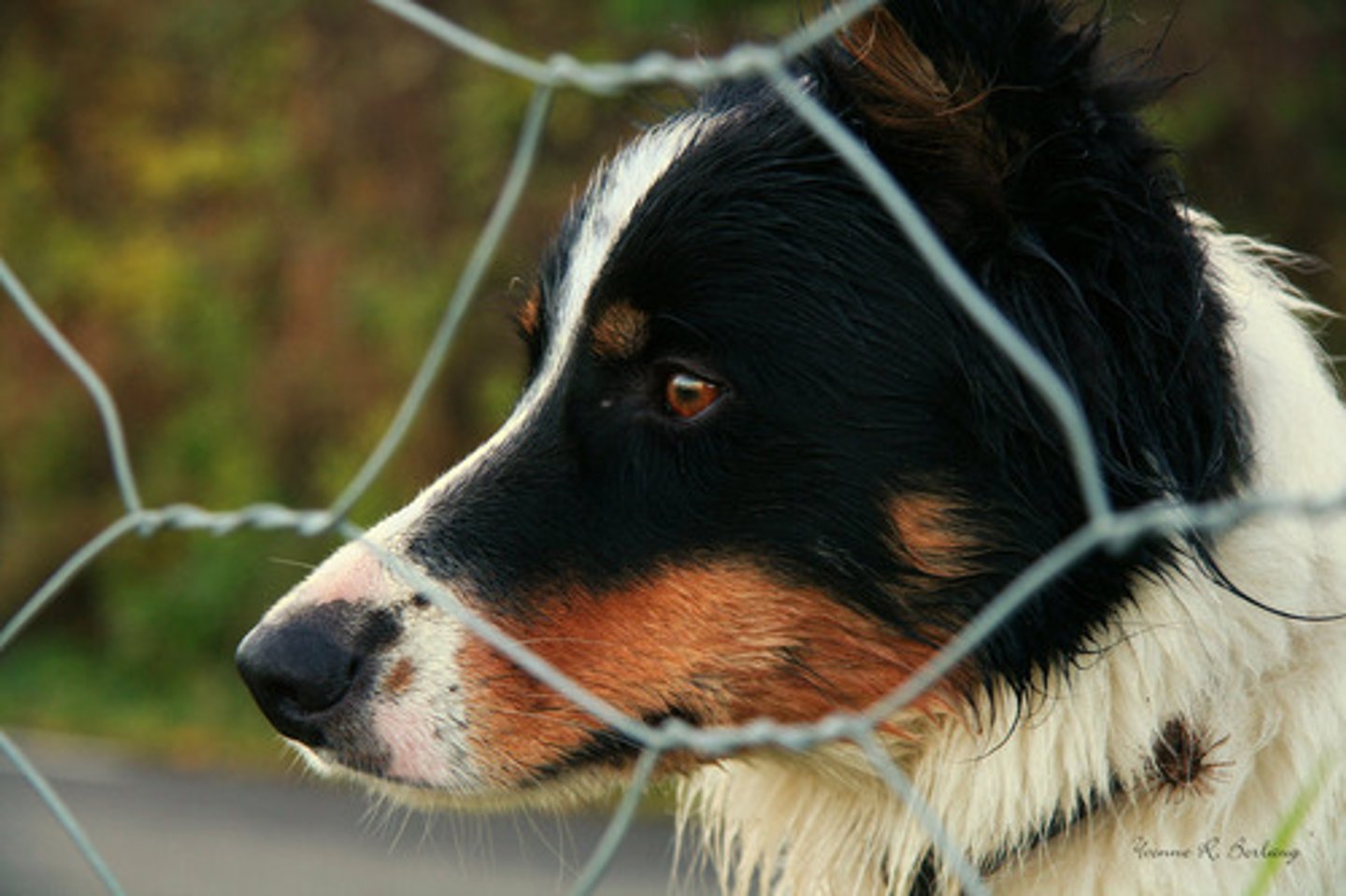 <p>watchful and alert</p>