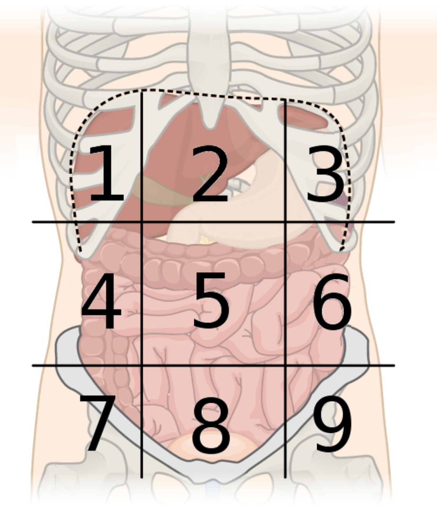 <p>region 3</p>