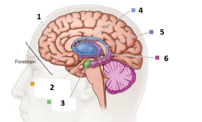 <p>1,2,3,4,5,6</p>