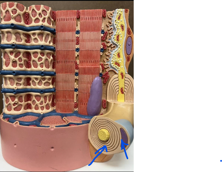 <p>What is this?</p>